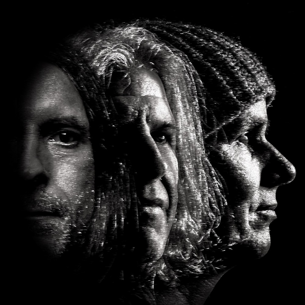 pics/cd/moonshaped-cover-torsion.jpg